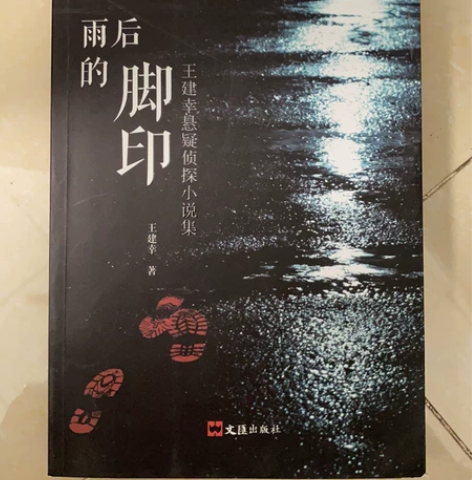 雨后的脚印悬疑侦探小说 感兴趣的话点“我想...