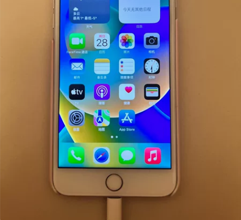 媳妇儿用的老手机 苹果8plus 256g...