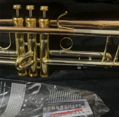 西洋乐器小号 当时买来吹过几次敷衍老师在外...
