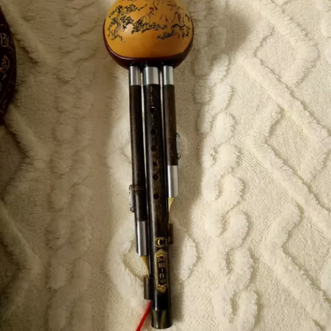 全新葫芦丝 实体店购买，但买回来以后没有去...