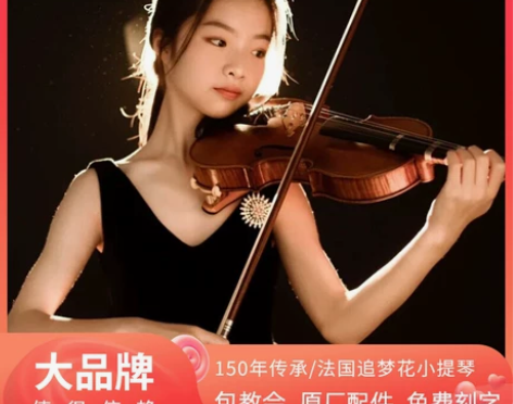 法国追梦花官方旗舰店小提琴实木手工成人考级...