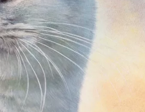 私人订制彩铅，油画，立体画。带画框包邮到家...