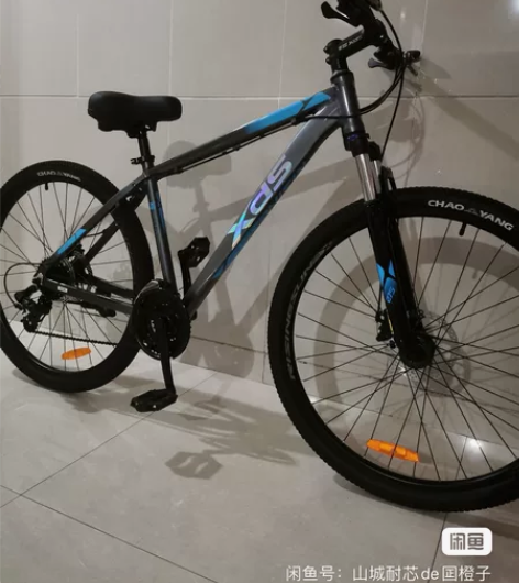 XDS/喜德盛 旭日350 喜德盛（xds...