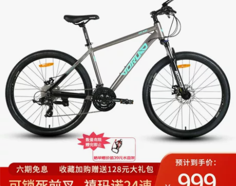 11月刚买的沃雷顿（VORLAD）山地自行...