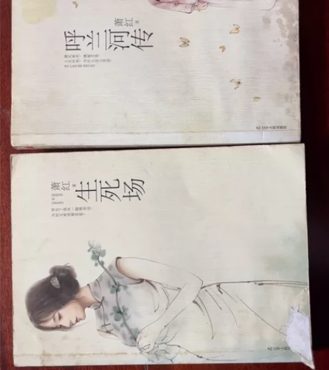 《呼兰河传》《生死场》萧红著 5RMB/本...