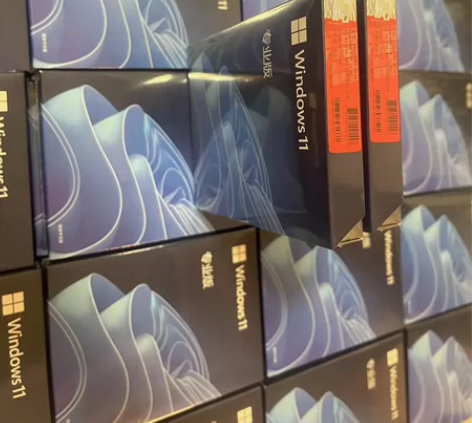 正版win11专业中文版,win11家用版...