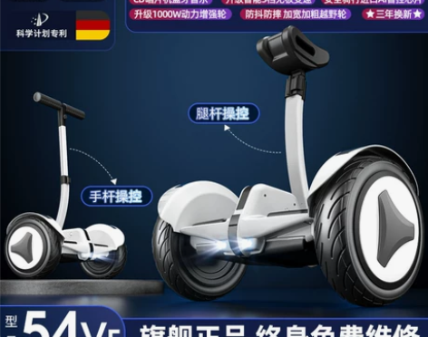 德国ZOLA官方旗舰店新款平衡车智能腿控电...
