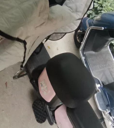 [新日]国标电动自行车 电动车48V12安...