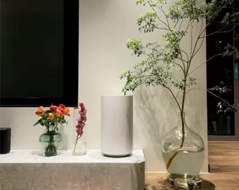 【全新捡漏】北欧简约大肚玻璃花瓶插花水培小...