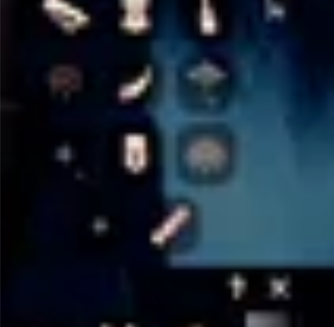 年后收伞耳鸟，卡死耳坠，礼包卡死围巾、蝙蝠...