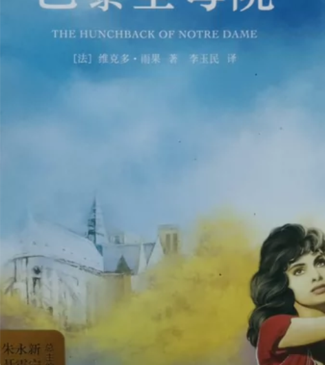 《巴黎圣母院》买了没翻开过，封面放久了有点...