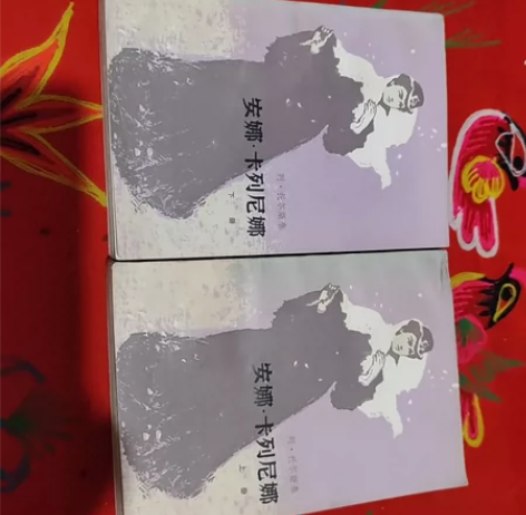 老书旧书 安娜 卡列尼娜 上下册 人...