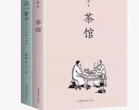 茶馆老舍 我这一辈子 老舍的书现当代经典小...