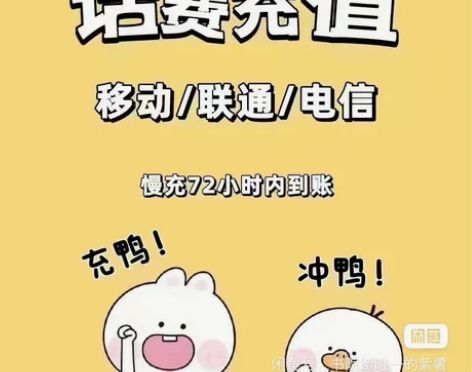 北京，天津，河北，山东三网话费充值，全国移...