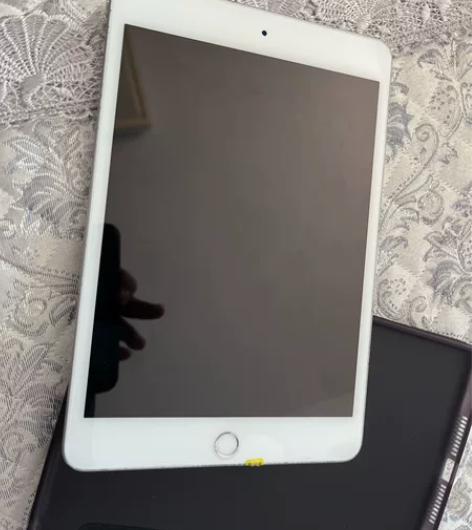 Apple/苹果 iPad Mini 5 ...