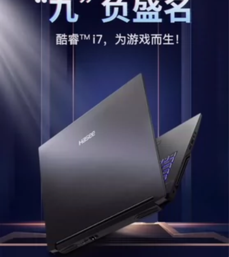 自用神舟笔记本G8-CT7NK，目前集显不...