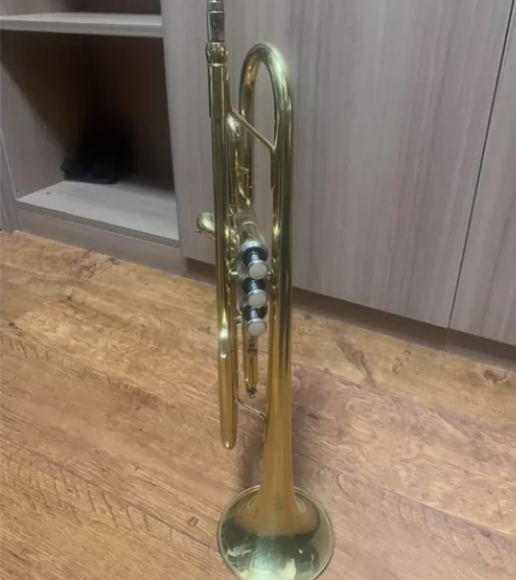 金音小号E100，全新未用过，但号嘴放久生...