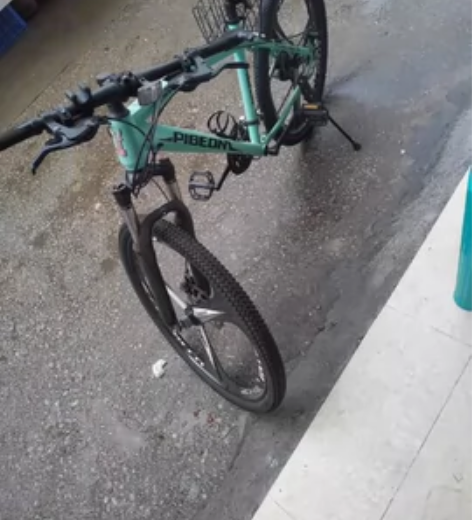 FLYING PIGEON/飞鸽飞鸽山地车...