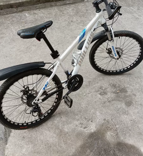 菲利普自行车 很好骑，内走线，轻巧，胎毛都很长，9新，自提3...