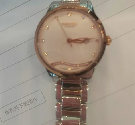 雷诺(RARONE)手表女时尚全自动机械女...