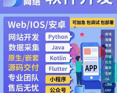 软件开发，软件工程，协议，破解，开发， 感...