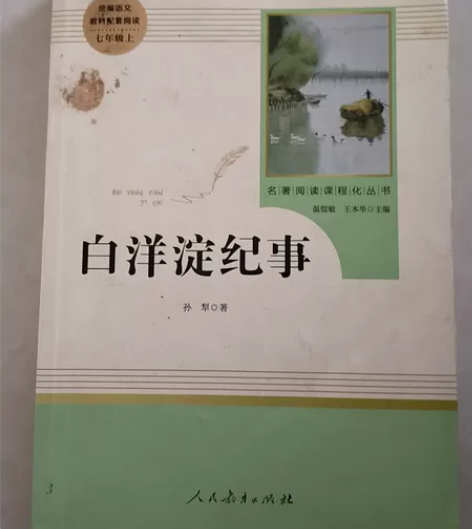 白洋淀纪事 感兴趣的话点“我想要”和我私聊...