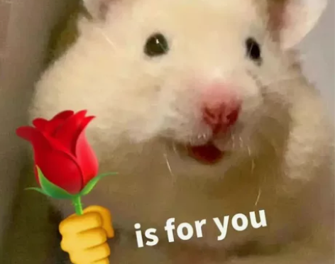 安卓系统60~70r慢收一个千姬的典藏 感...