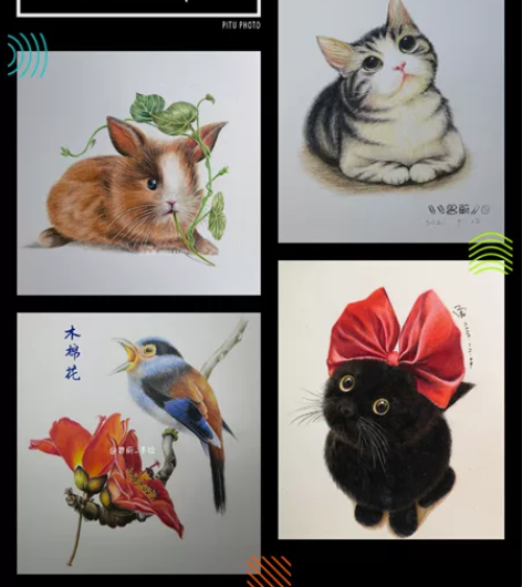 【彩铅】宠物定制肖像，各种装饰画，纯手绘绝...