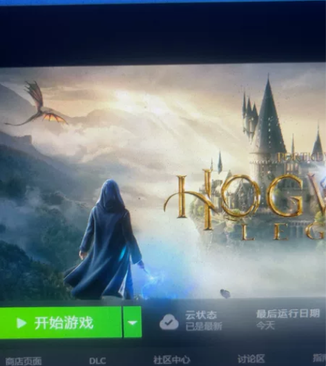 《霍格沃滋之遗产》全DIC steam离线...