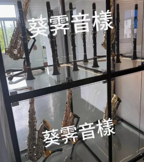 小号and单簧管 法国布菲出品，大品牌有保...