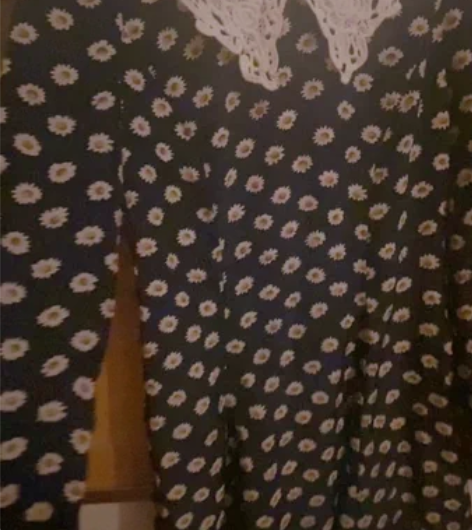 法式茶歇裙 2022新款 颜色：藏蓝底 雏...