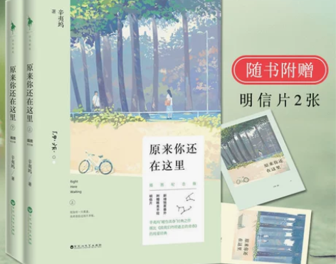 致青春2原来你还在这里 辛夷坞的小说书青春...