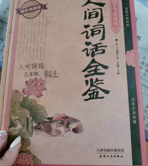 人间词话全鉴，共427页，几乎全新，喜欢阅...