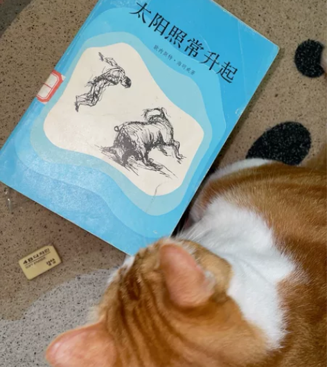 收藏的1984年上海译文出版社的《太阳照常...