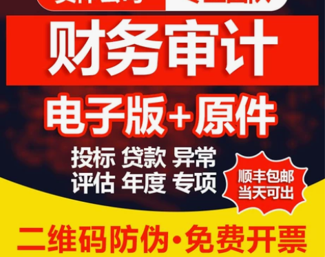 公司审计投标财务咨询年度专项报告离任资产评...