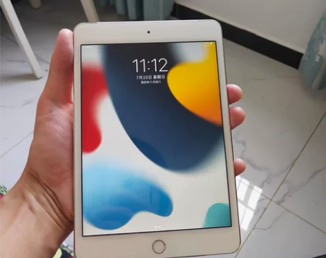 (闲置)标价就是实价,ipadmini4 ...