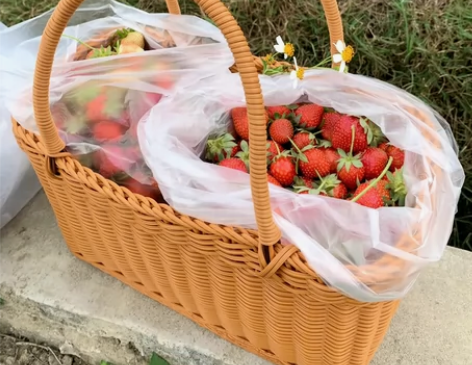 网店不开了，清20个野餐篮购物篮子户外大号...