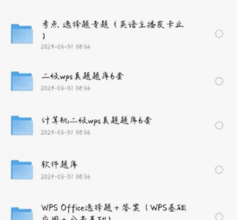 2024年3月考试备考计算机二级WPS小黑...