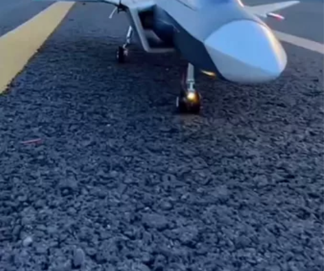 遥控模型飞机歼20航模J20遥控像真战斗机...