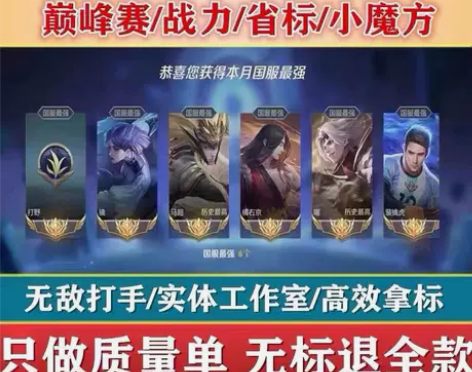 保证拿标王者荣耀代练小国标指定英雄代