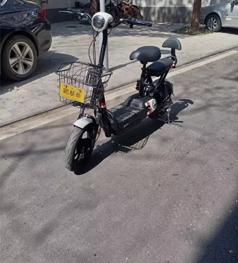 平时自家用的路基亚品牌电动车，成色如图很新...