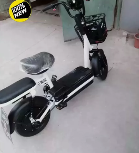 瑞高折叠电动车，18650锂电池，48伏3...