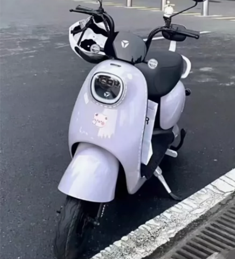 绿源8成新电动车，轻便快捷！ 由于不常用，...