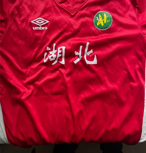 湖北青年星22赛季17号球衣 L码 感兴趣...