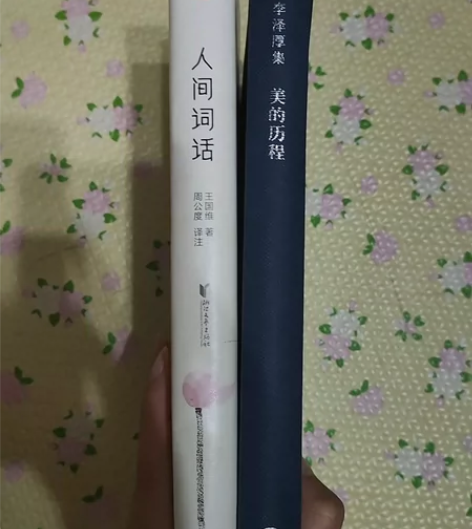 人间词话+美的历程 李泽厚 感兴趣的话点“...