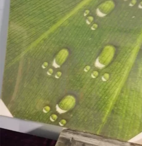 外贸工艺品———木框绷布的画 非常轻巧 规...