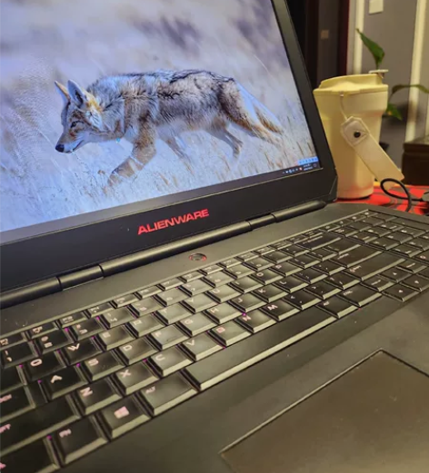 自用外星人15笔记本 现在只能插电使用。无...