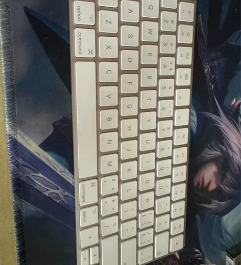 一年前买imac一体机入的Apple ma...