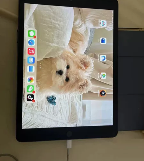 急出！成色很新的ipad2020便宜处理，...