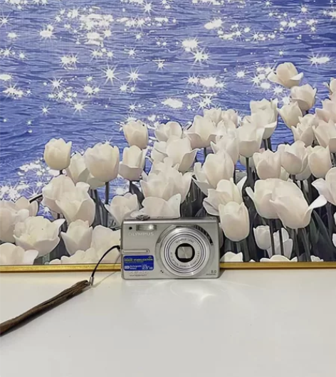 奥林巴斯FE250 月光银 中文 功能正常...